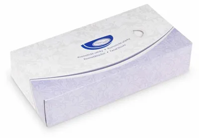 Produktbild von 400x Kosmetiktücher 100% Zellstoff 2-lagig in Spenderbox weiß