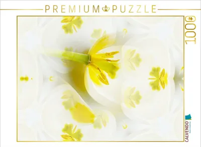 Produktbild von CALVENDO Puzzle Ein Motiv aus dem Kalender Tulpenphantasie | 1000 Teile Lege-Größe 64x48cm Foto-Puzzle für glückliche Stunden