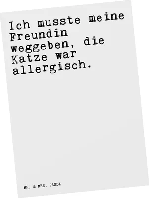 Produktbild von Mr. & Mrs. Panda Postkarte Ich musste meine Freundin... - Weiß - Geschenk, Geld, Sprüche, Frauchen, Ansichtskarten, Partner, Freund, Ansichtskarte, Katze, Grußkarte