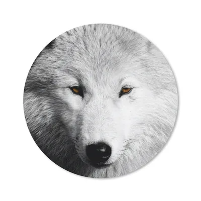 Produktbild von MuchoWow® Mauspad Mousepad In der Nähe Ansicht Wolf in Schwarz und Weiß 20x20 cm - Mousepads - Maus Mat - Pad - Mausunterlage - Schreibtischmatte