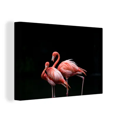 Zdjęcie produktu dla OneMillionCanvasses® - Obrazy na płótnie - 150x100 cm, Dwa flamingi na czarnym tle, grafika ścienna, dekoracja ścienna