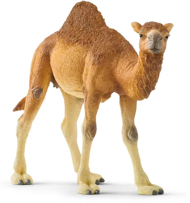Produktbild von schleich WILD LIFE 14832, 3 Jahr(e), Safari, Wild animals / adventure toys, Mehrfarbig, Kunststoff, 1 Stück(e)