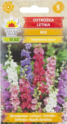 A package of flower seeds with an image of the flowers on the front.