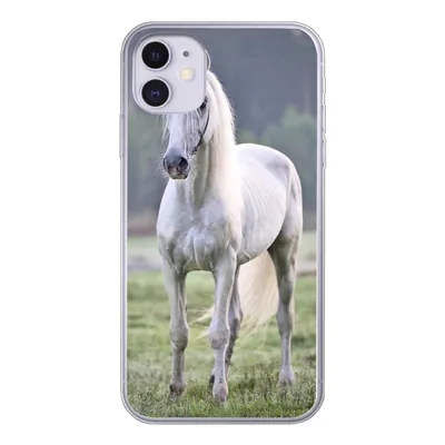 Produktbild von MuchoWow® Handyhülle Schutzhülle Hülle für iPhone 11 Pferd - Licht - Morgen Silikon Softcase Handy Hülle - Handytasche
