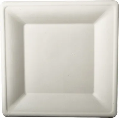 Produktbild von PAPSTAR Zuckerrohr-Teller "pure" eckig 200 x 200 mm 50 Stück