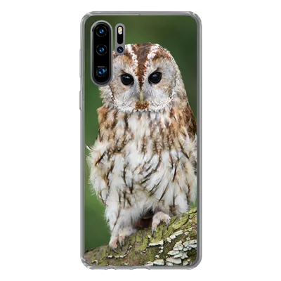 Produktbild von MuchoWow® Handyhülle Schutzhülle Hülle für Huawei P30 Pro Braune Eule sitzt auf einem Baum Silikon Softcase Handy Hülle - Schutzdeckel