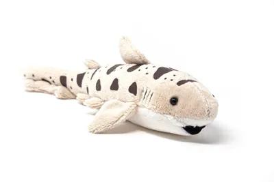 Image de Cornelissen - Peluche - Requin léopard - 31 cm