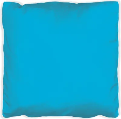 Produktbild von Wallario Premium Kissen, weiche Oberfläche, mit Motiv Hellblau, Größe: 40 x 40 cm, mit weißer Rückseite