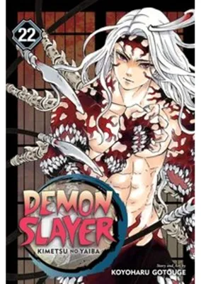Immagine prodotto di Demon Slayer: Kimetsu no Yaiba, Vol. 22