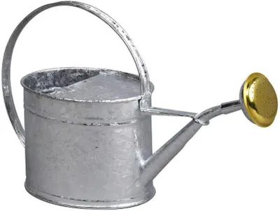Imagen del producto de Regadera de metal, color gris, 1,75 litros de capacidad, de forma ovalada, para jardín y plantas