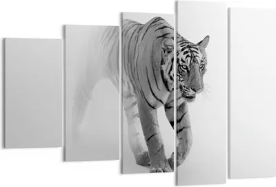 Produktbild von Bild auf Leinwand - Leinwandbild - 5 Teile - Tiger Monochrom Porträt - 150x100cm - Wand Bild - Wanddeko - Wandbilder - Leinwanddruck - Bilder - Wanddekoration - Leinwand bilder - EG150x100-4626