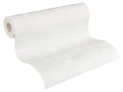 Obrázok produktu pre A.S. Création Netkaná tapeta Meistervlies Pro Protect 2, biela, premaľovateľná, 10,05 m x 0,53 m, 262516, 2625-16