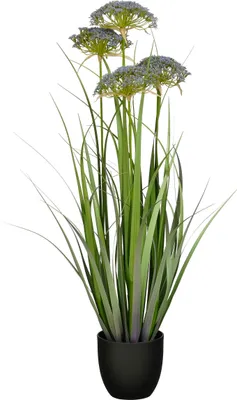 Obrázek produktu pro Mica Decorations Angelica – umělá tráva – realistická umělá rostlina jako dekorace do obývacího pokoje – umělé rostliny – umělé pokojové rostliny – výška 90 cm, průměr 25 cm – zelená, fialová
