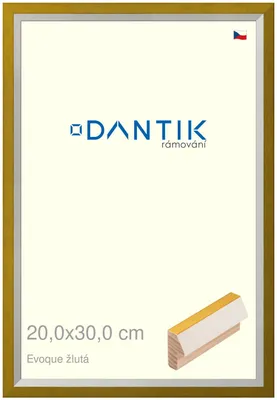 Obrázek produktu pro DANTIK rámeček 20x30 | EVOQUE žlutá (Sklo Čiré)