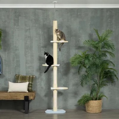 Image de Arbre à gratter pour chats – Hauteur atteignant le plafond | Couleur : Beige | Dimensions : 34x47x220-260 cm