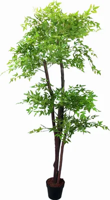 Produktbild von Künstlicher Himmelsbambus 190cm Nandina Tree Kunstbaum Kunstpflanze im Topf