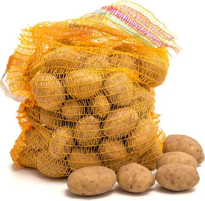 Produktbild von Raschelsäcke, 100 Stück – wahre Allrounder zum Einlagern – 31cm x 50cm
