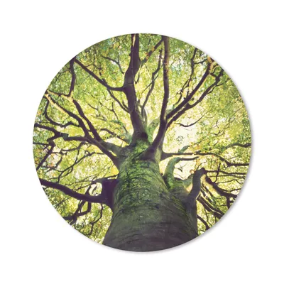 Produktbild von MuchoWow® Mauspad Mousepad Beruhigende Zweige eines grünen Baumes 30x30 cm - Mousepads - Maus Mat - Pad - Mausunterlage - Tischunterlage - Schreibtischmatten