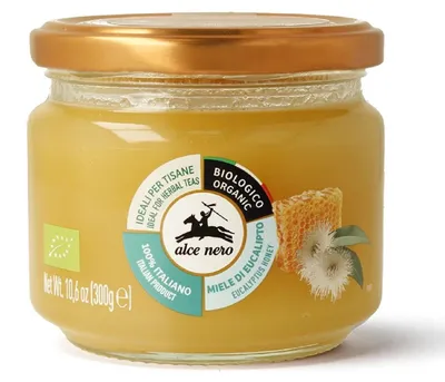 MIÓD EUKALIPTUSOWY BIO 300 g - ALCE NERO