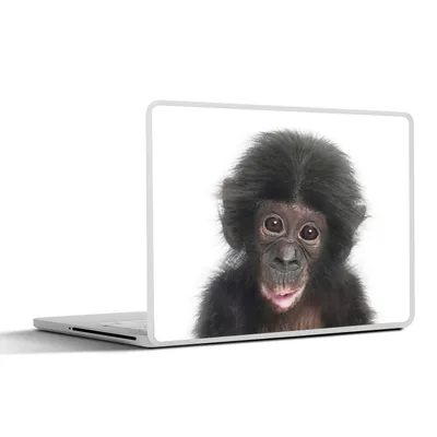 Produktbild von MuchoWow® Laptop Aufkleber Sticker Cover Affe - Tiere - Natur - Schimpanse 32.5x23.5 cm - Sticker für Laptop - Selbstklebend