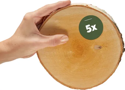 Image de Petites rondelles de bois de 16 cm, lot de 5, pour la fabrication de décorations en bois