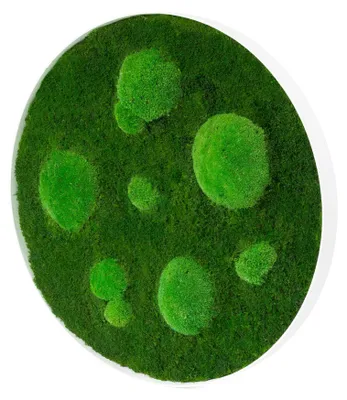 Produktbild von Rundes Moosbild Forest Design (⌀60 cm, weiß)