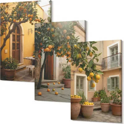 Produktbild von Leinwandbilder – Wandbilder – Leinwandbild – Canvas Bild – Polycanvas – Kunstdruck – – Modern – Aufhängefertig – Mehrteilig – 3-Teilig – 20x30 Cm Pro Bild - Ein Garten mit Zitrusbäumen in sonniger Lage