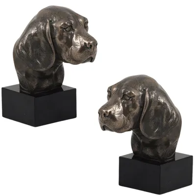 Zdjęcie produktu dla Art-Dog Popiersie – Beagle – odlew z proszku brązu i żywicy