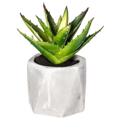 Produktbild von Künstliche fettpflanze zementtopf h14cm  - Atmosphera créateur d'intérieur