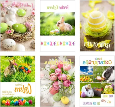 Productafbeelding van Paaskaarten met envelop - Dubbele kaarten - Vrolijke groeten sturen - Hoogwaardige papierkwaliteit - 12 stuks - Multicolor