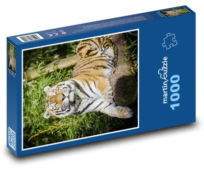 Zdjęcie produktu dla Puzzle 1000 Tygrys na wolności - martinpuzzle