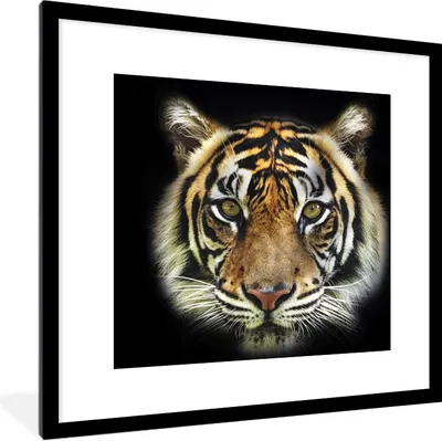 Produktbild von MuchoWow® Gerahmtes Poster Tiger - Tierkopf - Schwarz 40x40 cm - Poster mit Schwarzem Bilderrahmen Wandposter Rahmen Foto Bilder - Poster - Plakat im Rahmen