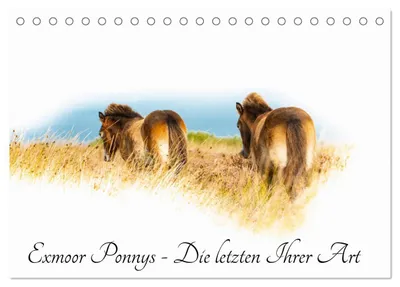 Produktbild von Exmoor Ponnys - Die letzten Ihrer Art (Tischkalender 2027 DIN A5 quer), CALVENDO Monatskalender