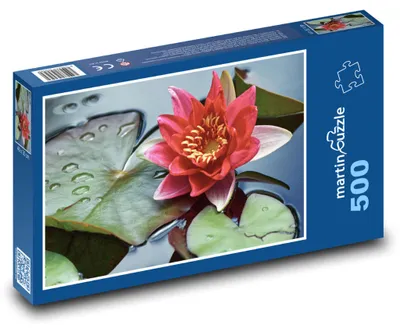 Obrázek produktu pro Puzzle 500 Červený leknín na vodě - martinpuzzle