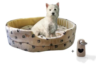 Produktbild von Hundebett Silvio mit Hundekotbeutelset, Größe:L