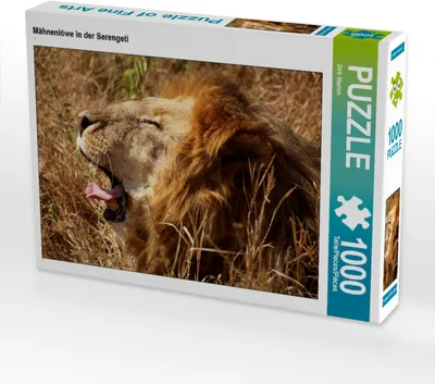 Produktbild von CALVENDO Puzzle Mähnenlöwe in der Serengeti | 1000 Teile Lege-Größe 64x48cm Foto-Puzzle für glückliche Stunden