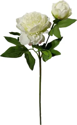 Produktbild von Pfingstrose 23 cm Kunstblume Flora