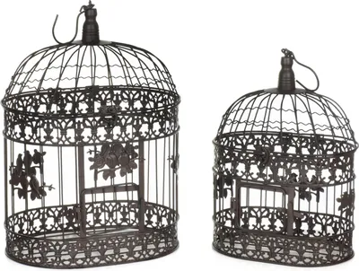 Immagine prodotto di Set di 2 gabbie per uccelli in metallo color marrone antico - design vintage shabby con viticci di fiori, altezza circa 50/43 cm - decorazione da appendere in stile rustico per giardino e interni