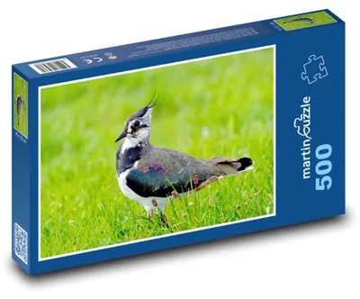 Produktbild von Puzzle 500 Kiebitz auf der Wiese - martinpuzzle