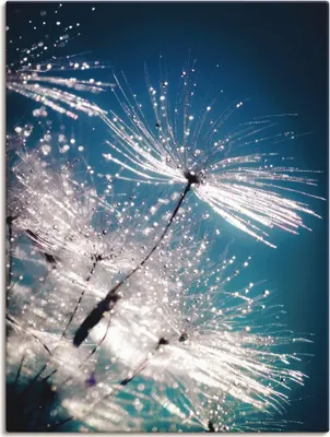 Produktbild von ARTland Leinwandbild Pusteblume Kristallschirmchen Größe: 60x80 cm