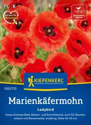 Artikelbild 2 von 'Marienkäfermohn Ladybird' aus der Kategorie Mohnsamen