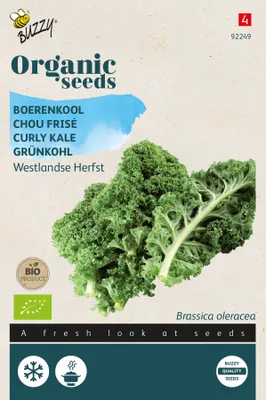 Image de Chou vert Westländer mi-haut | Graines de chou vertde Buzzy Seeds [DLC 07/2024]