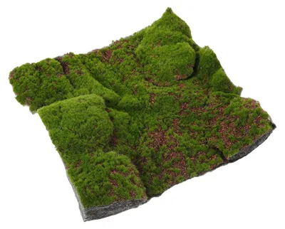 Produktbild von Omgoods – Künstliches Gras, realistisch, 11,4 x 30,5 cm – Künstliches Gras für den Außenbereich – Dekoration für den Garten – Gestaltung von Landschaften (DIY) – Geeignet für Wandgestaltungen – Miniaturlandschaften – Dekorative Gräser