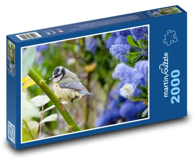 Obrázok produktu pre Puzzle 2000 Sýkorka belasá v záhrade - martinpuzzle