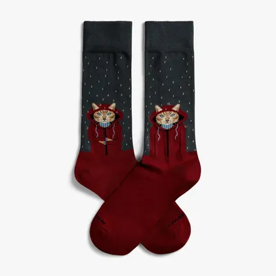 Immagine prodotto di Calze Jimmy Lion Raining Cat multicolor