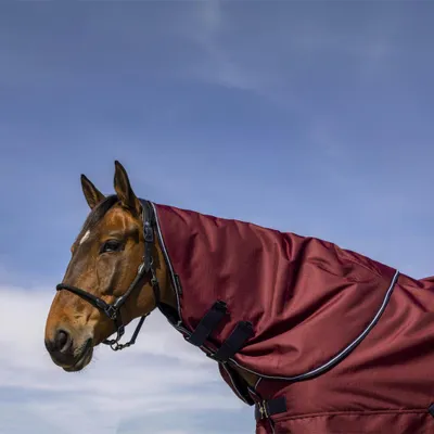 Produktbild von Equithème Tyrex Aisance 1200D Halsteil 200g - Größe Pony