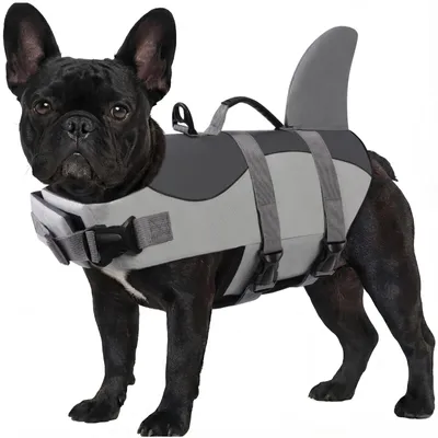 Hundeschwimmweste, Sicherheitsweste, Haustier, Schwimmweste, Boot, Rettungsweste