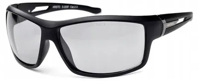 Produktbild von Arctica S-203FP Sport Sonnenbrille Polarisierung Fotochrom