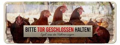 Produktbild von Blechschild Spruch 27x10cm Hühner bitte Tor geschlossen Dekoration