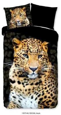 Imagen del producto de Juego de sábanas "Rayan" - - (140x220 cm) - 100% poliéster